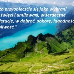 slowo019